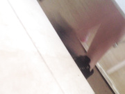 偷拍极品校园美眉原来是个黑木耳