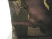 短发女友口交后再被强势插入