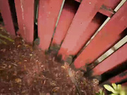 肯齐·里夫斯阿贝拉分享一个男人