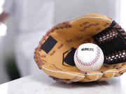 我的嘴很好——布拉蒂西斯·里萨·梅 告诉继父。