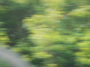 [SQTE-504] 傷心旅行で出会った女の子が可愛すぎてエッチすぎる 月野かすみ - 1of5