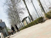 坑神街邊公廁守株待兔隨機偸拍多位年輕妹子如廁噓噓 有個黑點裙漂亮妹子陰毛濃密貌似是個小騷貨 1080P高清原版