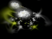 C0930 ki241215 斎藤 幸江 43歳