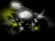 C0930 ki240704 本庄 礼子 40歳