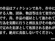 [破解]FSDSS-149  ノーパン女上司と誘惑三昧出張相部屋 天川そら - 1of5