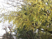 [破解]PRED-782 痴女教师用淫荡、性感的姿势和下流的话语安慰我……！楪可怜 - 1of5