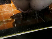 信哥酒店后入黑丝高根良家少妇无水印