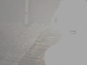 [Digital Graffiti]Replicants