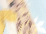 老婆的表妹最近被老公抛弃了来家里吃饭喝高了搞到了床上给她逼逼拍照留念啪啪