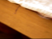 有点害羞的国模娜娜大尺度私拍现场 胸前两颗葡萄微微立起下面还比较粉嫩