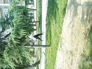 最新流出厕拍精选身材高挑长发美女一个孩子的妈了私处保养的如少女一般