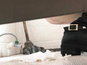 廁拍大神潛入某酒樓公共女廁偷拍各式美女少婦如廁噓噓 雪白大屁股看得讓人欲火焚身 1080P高清原版