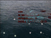 Il guardaspalle（保镖洛可）