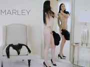 性感的玛莉·布林克斯和英国广播公司职员做爱